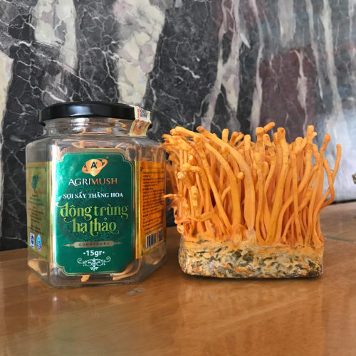 Đông trùng hạ thảo AGRIMUSH – Tinh hoa dưỡng chất từ thiên nhiên